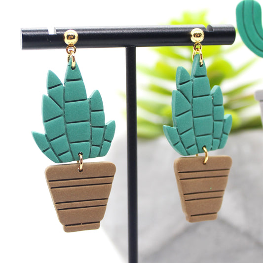 Succulent Garden Collection